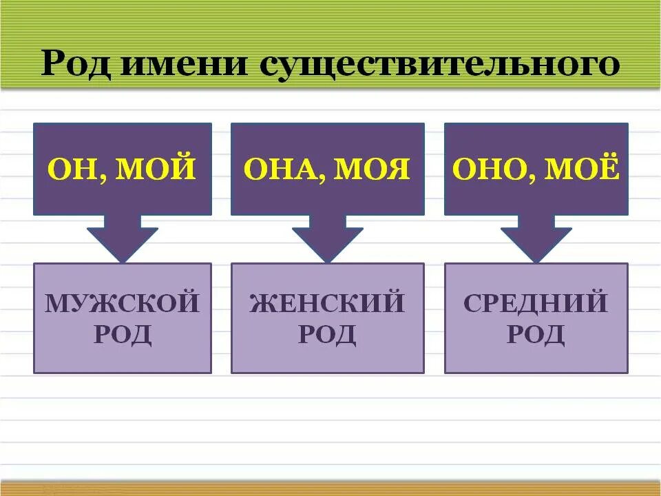 Род имен существительных. Табличка родов имен существительных. Род имёнисещиствительных. Крот имен существительных.