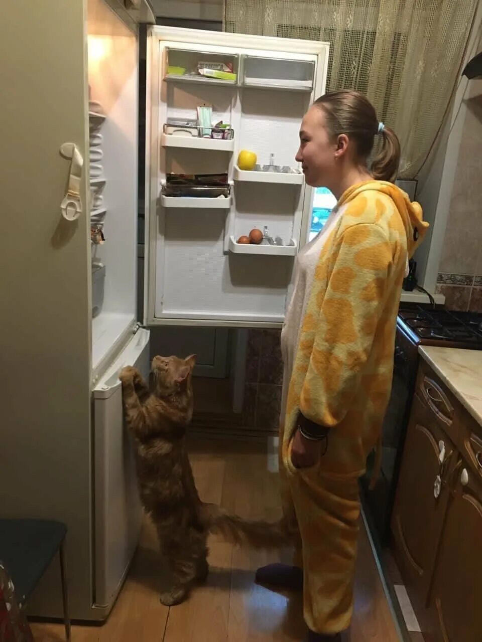 Ночей то пошло не так. Ночей то пошло не так. Ночей то пошло не так. Юмористический спектакль. Шутки про гипноз.