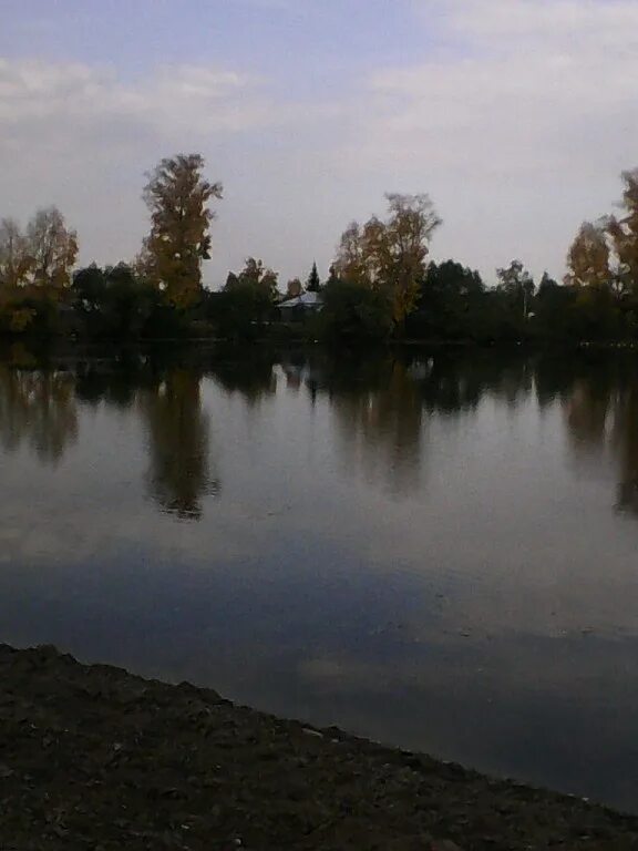 Усть мосиха алтайский край. Мосиха Ребрихинский район. Село Усть Мосиха Алтайский край. Парк Ребриха.