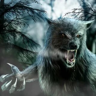 Волк оборотень фото
