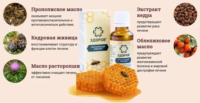 Что полезно пить для печени. Прополисный эликсир здоровья для печени. продукты для регенерации печени. какие продукты восстанавливают печень. эликсир &quot;здоров&quot; для печени.