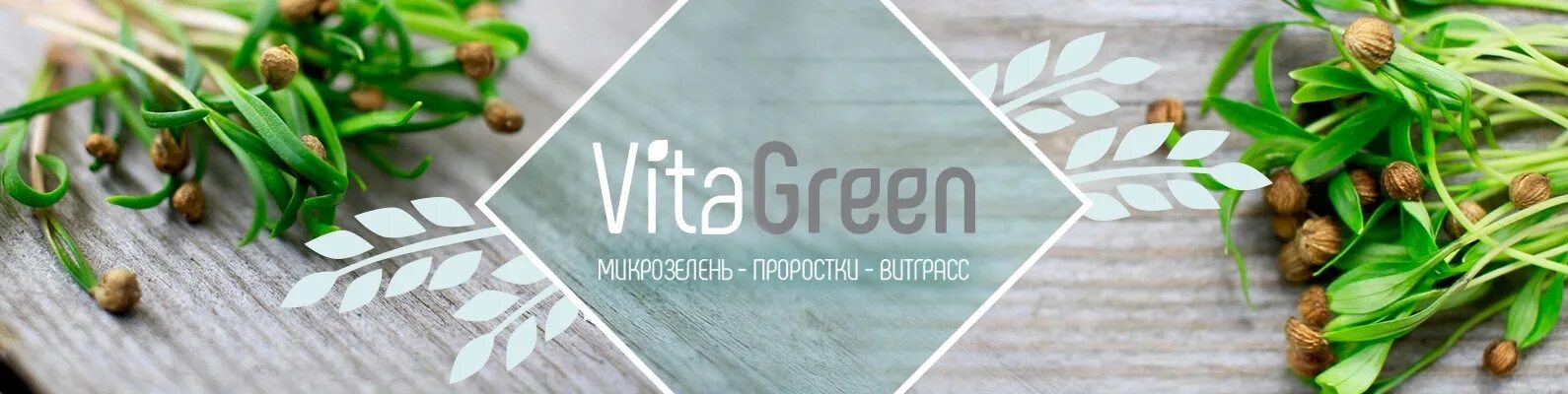 Vita green. Микрозелень. Визитки для микрозелени. Микрозелень логотип. Микрозелень этикетка.
