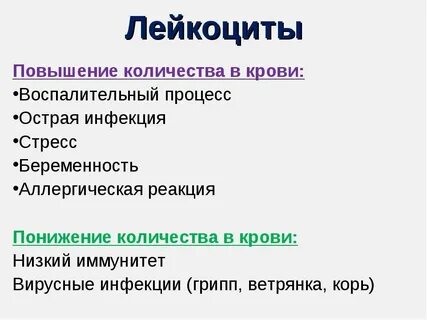 Повышение лейкоцитов что это