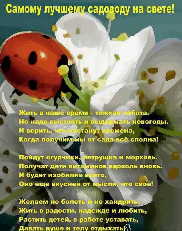 Поздравление огороднику с днем рождения. Стихотворения огородник. Поздравление с днем дачника и огородника. Стихотворение садовник. Открытка с днем рождения огороднику.