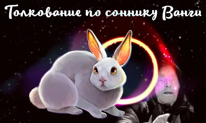 К чему снятся кролики во сне женщине. Сонник кролик. Кролик во сне к чему. К чему снятся кролики женщине. Белый кролик во сне женщине.