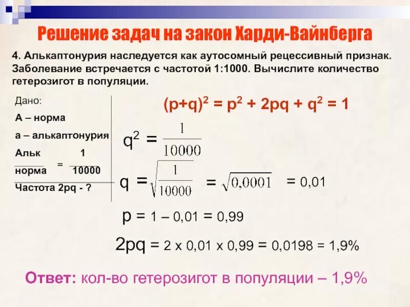 Равновесие Харди-Вайнберга. Частота встречаемости гетерозигот. Задачи на закон Харди Вайнберга. Как решать задачи по закону Харди Вайнберга.