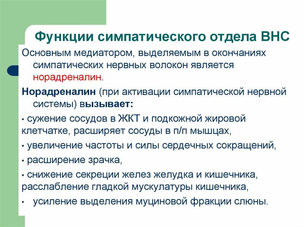 Симпатический отдел выполняет функции. Симпатический отдел вегетативной нервной системы. Симпатический отдел вегетативной нервной системы функции. Симпатический отдел функции. Функции отделов ВНС.