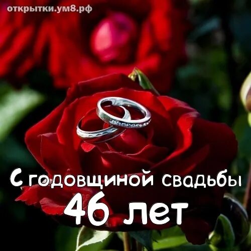 С годовщиной свадьбы 46 лет. 46 Лет свадьбы поздравления. Поздравление с годовщиной свадьбы 46 лет. Открытка 46 лет совместной жизни. 46 Лет свадьбы какая свадьба поздравления.