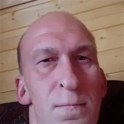 Петухи владимира
