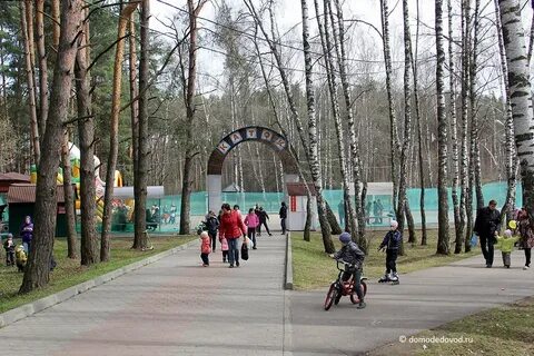 Парк елочки 1 июня 2024