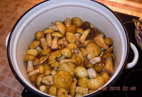 Соленые моховики рецепт
