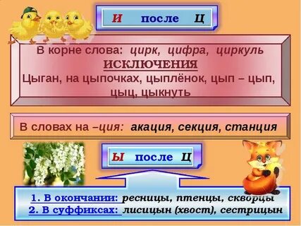 На цыпочках правописание