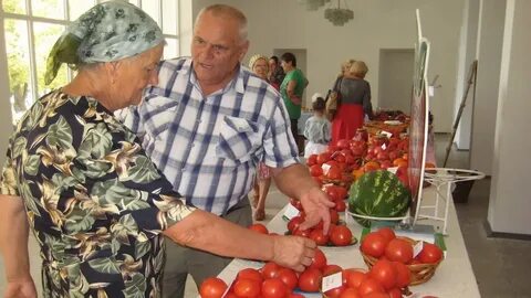 Погода в подойме пмр