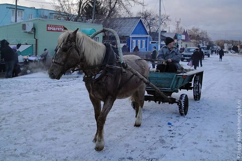 Погода малоархангельске орловской на неделю. Рп5 Малоархангельск Орловской. Орловская область Малоархангельский р-н с Луковец. Погода в Малоархангельске Орловской. Малоархангельск 2013.