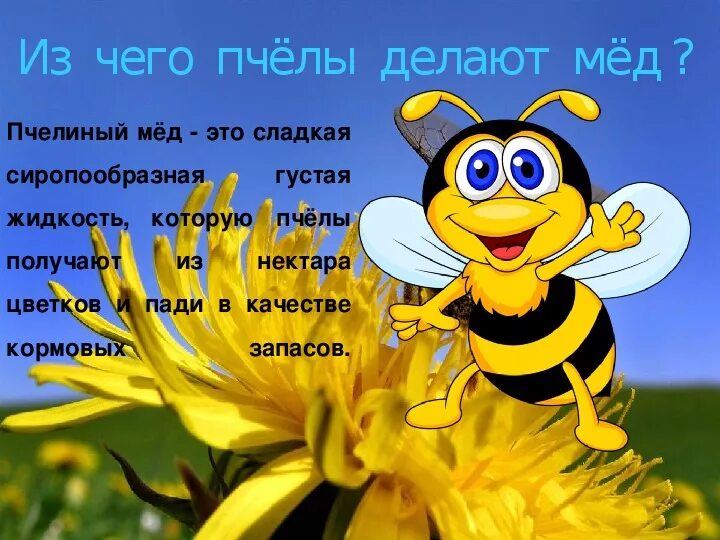 Проект про пчел 4 класс Презентация на тему "Интересные факты о пчелах" скачать бесплатно презентации