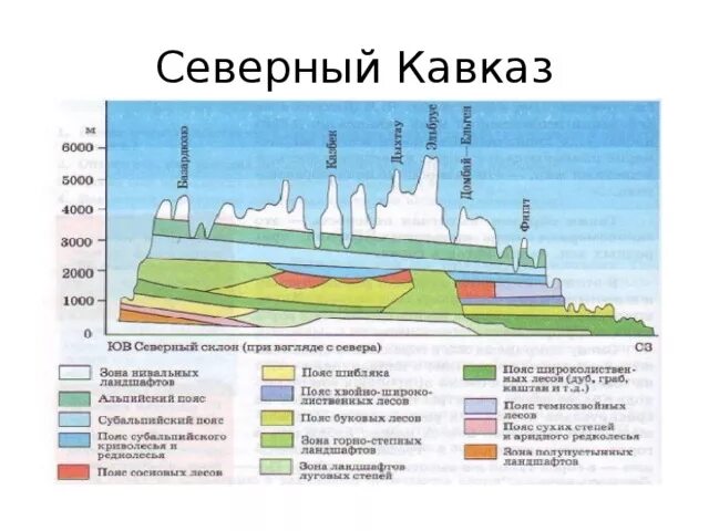 Высотная поясность урала и кавказа. Кавказские горы Высотная поясность. Высотная поясность гор Кавказа. Высотная поясность Северного Кавказа. Высотные пояса Кавказа 8 класс.