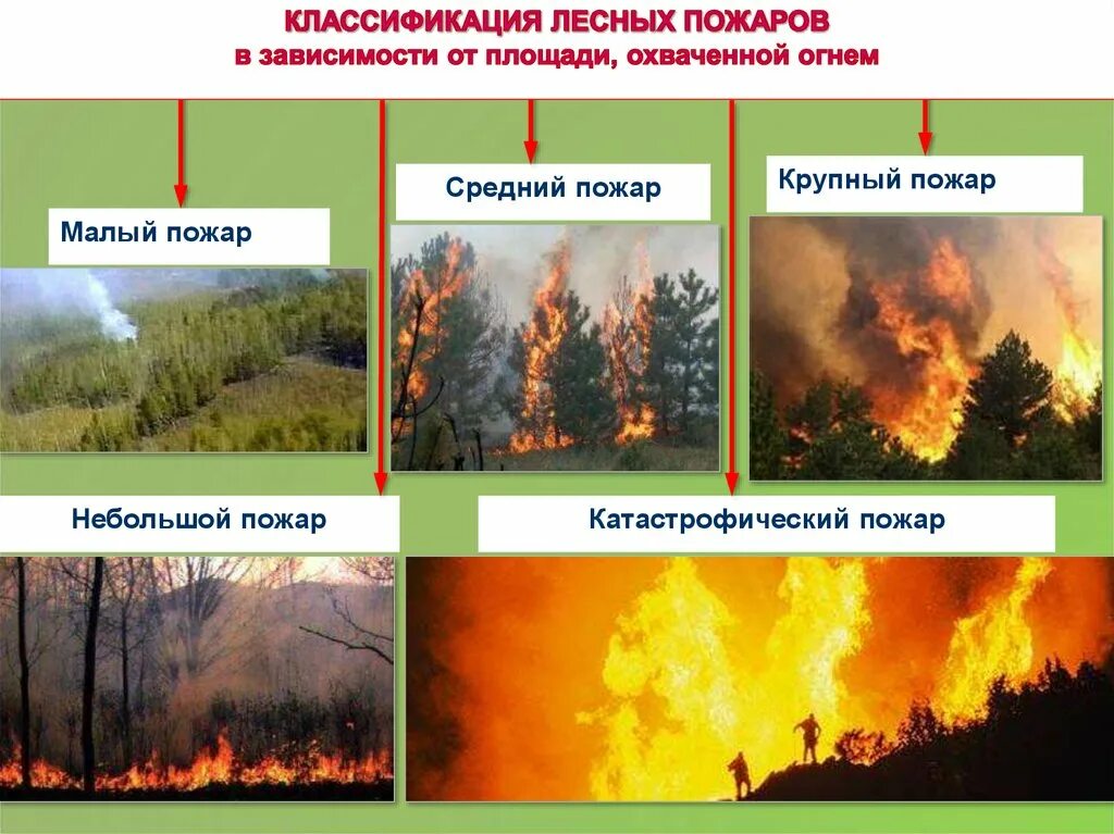 Верховые низовые подземные. Классификация природных пожаров по интенсивности горения. Классификация лесных пожаров в зависимости от площади. Классификация лесных и торфяных пожаров. Лесные и торфяные пожары.