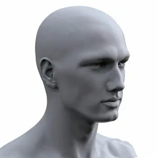 Head 3d modeling