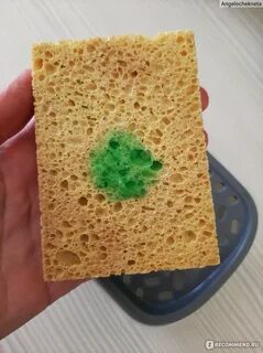 Soap pump and sponge