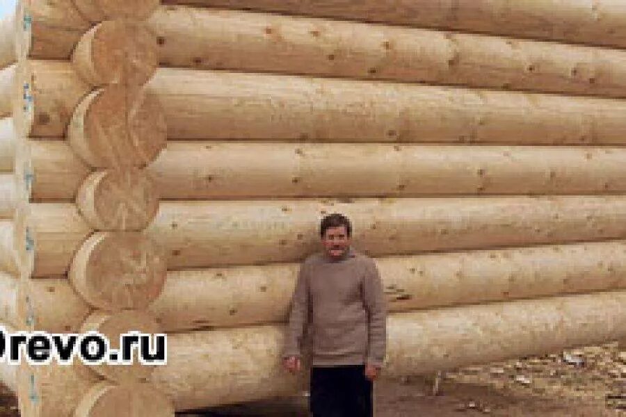 Бревно 26 см