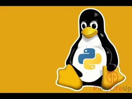 Python linux