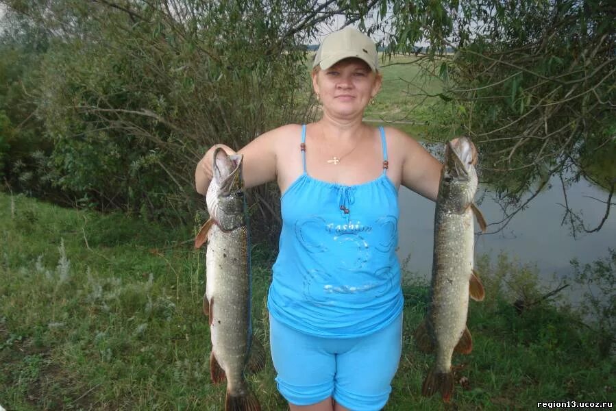 мокша река рыбалка. рыбалка на мокше. мордовия рыболов. мокша река рыбалка. рыбалка на мокше.