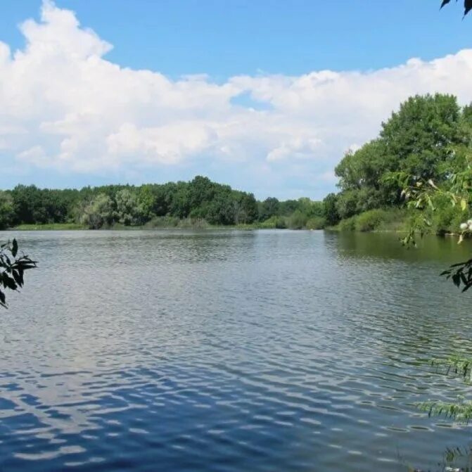 самарская область безенчукский район речка. река чапаевка чапаевск. река чапаевка в самарской области. чапаевка самарская. река чапаевка в самарской области.