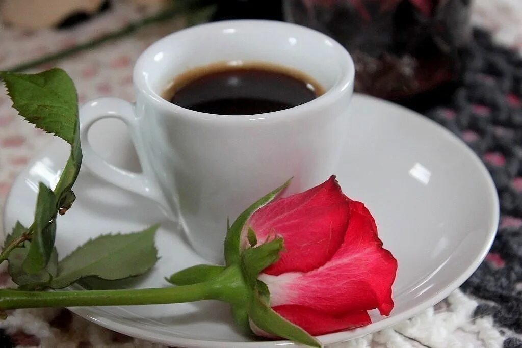 Доброе утро любимая розы. Кофе с цветами. Кофе и розы с добрым утром. Доброе утро розы и кофе.