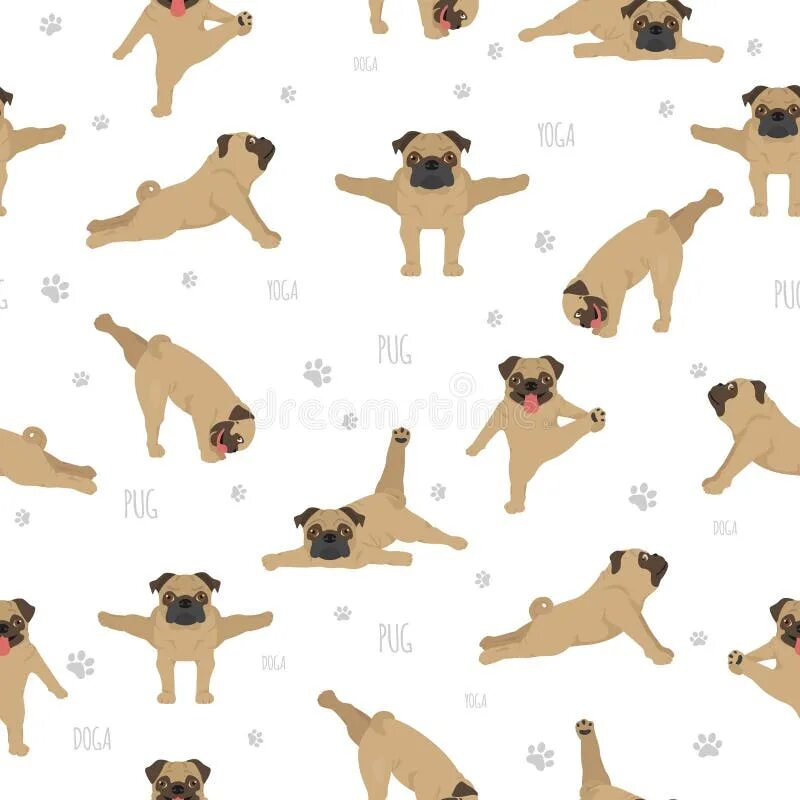 Dog positions