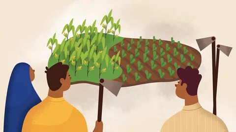 Land rights