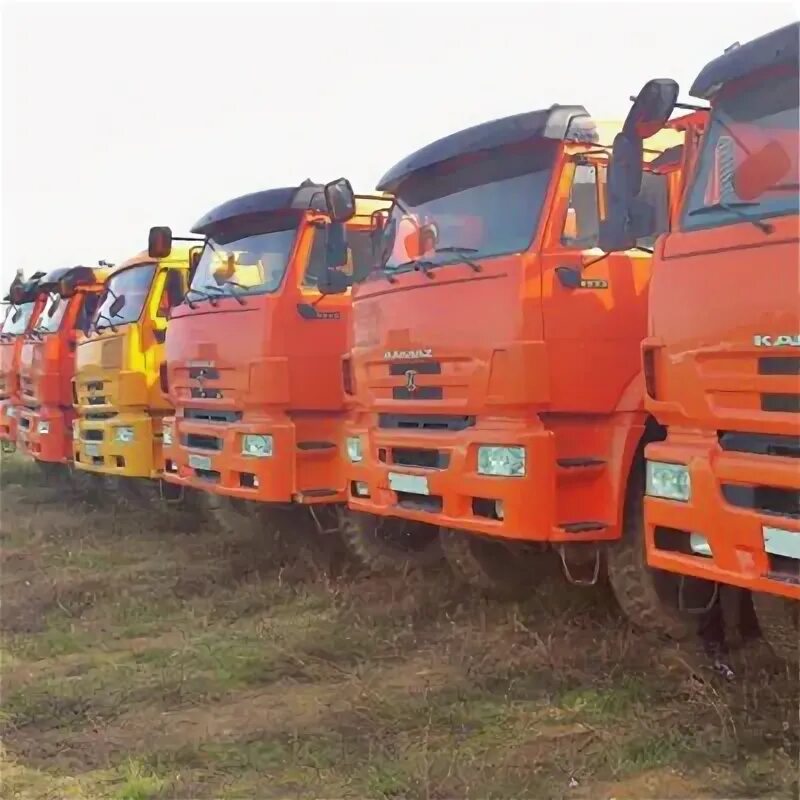 Трейдер картинки. Спецов тюмень. Спец трейдинг. Трейдинг. Склад на острове.