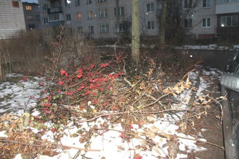 Ноябрь решающий. Ноябрь решающий