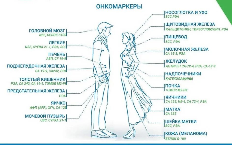 Виды онкомаркеров таблица. Онкомаркеры. схема онкомаркеров. онкомаркеры для женщин. исследование крови на онкомаркеры.