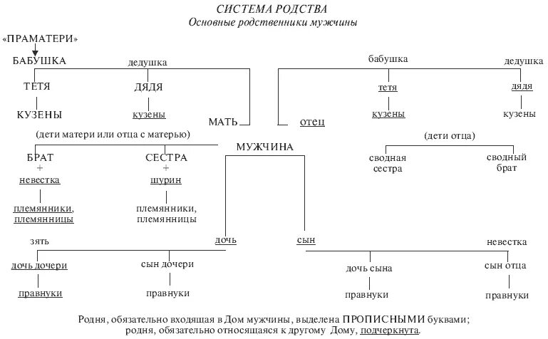 Степени родства людей. Родственные связи схема родства. племянник схема родства. степени родства родственные связи в таблицах. схема родственных отношений в семье.