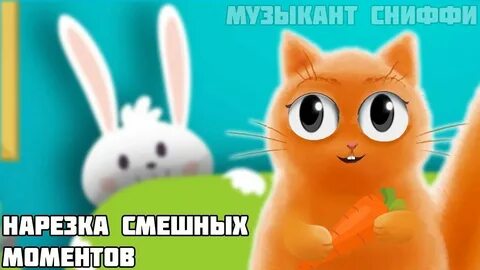 Кот джем
