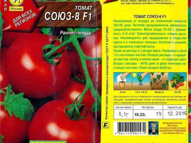 Устойчивые сорта помидоров для открытого грунта