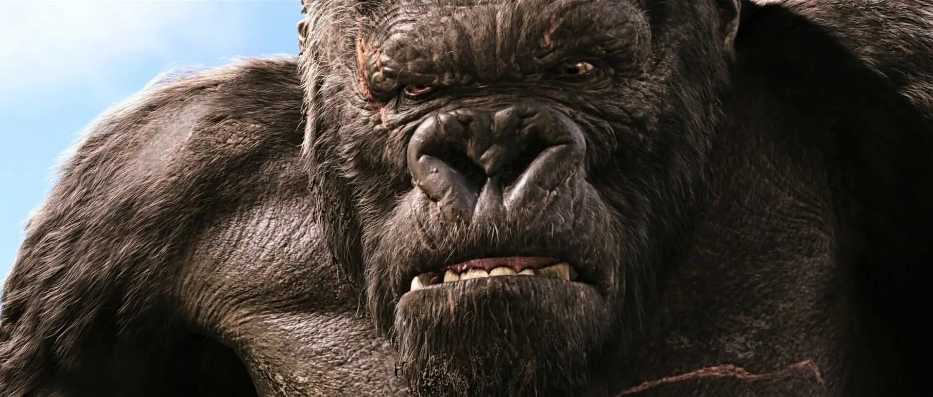 Конг остров черепа. Кин кон. Кинг конг 2017. Кинг конг 2005. Кин кон.
