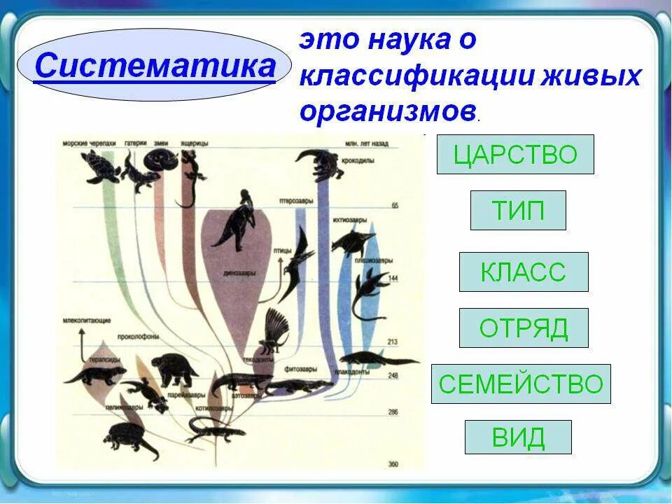 Многообразие организмов и их классификация. Классификация живых организмов. Систематика живых организмов. Биологическая классификация живых организмов. Биологическая систематика живых организмов.