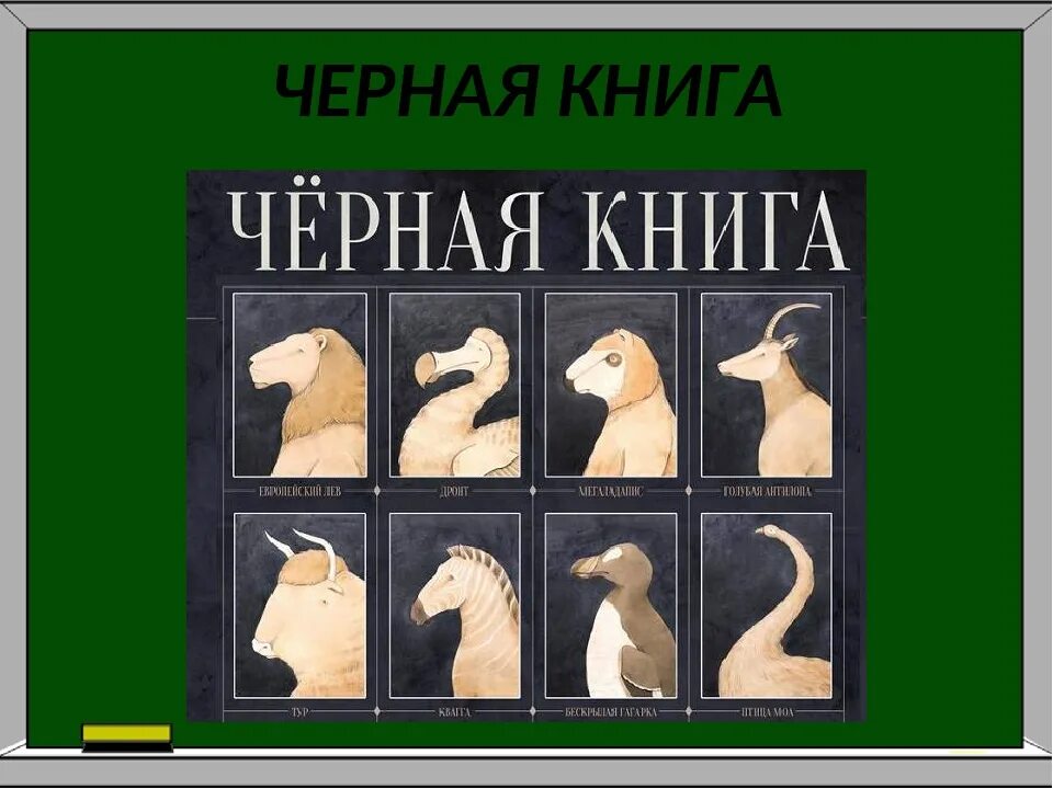 Когда официально стали вести учёт вымерших животных, инициатор?