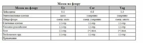 Нормы мазка gn