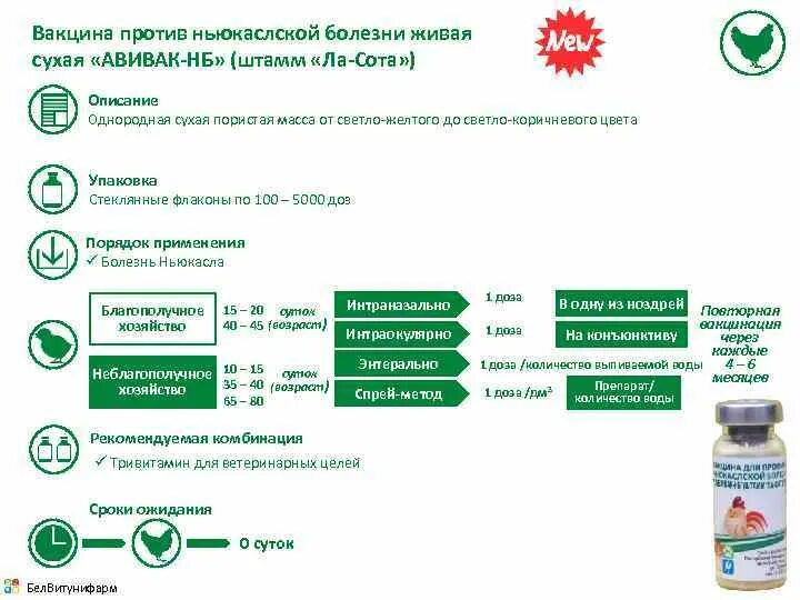 Против ньюкаслской болезни. Вакцина против Ньюкасла ла-сота сухая. Вакцина против ньюкаслской болезни. Вакцина АВИВАК НБ шт.ла-сота (Живая сухая) фл 2500-3000-5000 доз. Вирусвакцина против ньюкаслской болезни.