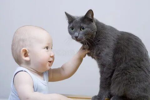 Аллергия на кошек у детей
