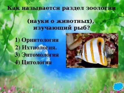 Какая наука изучает рыб
