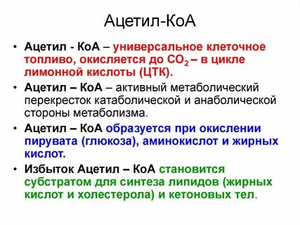 Кофермент атф