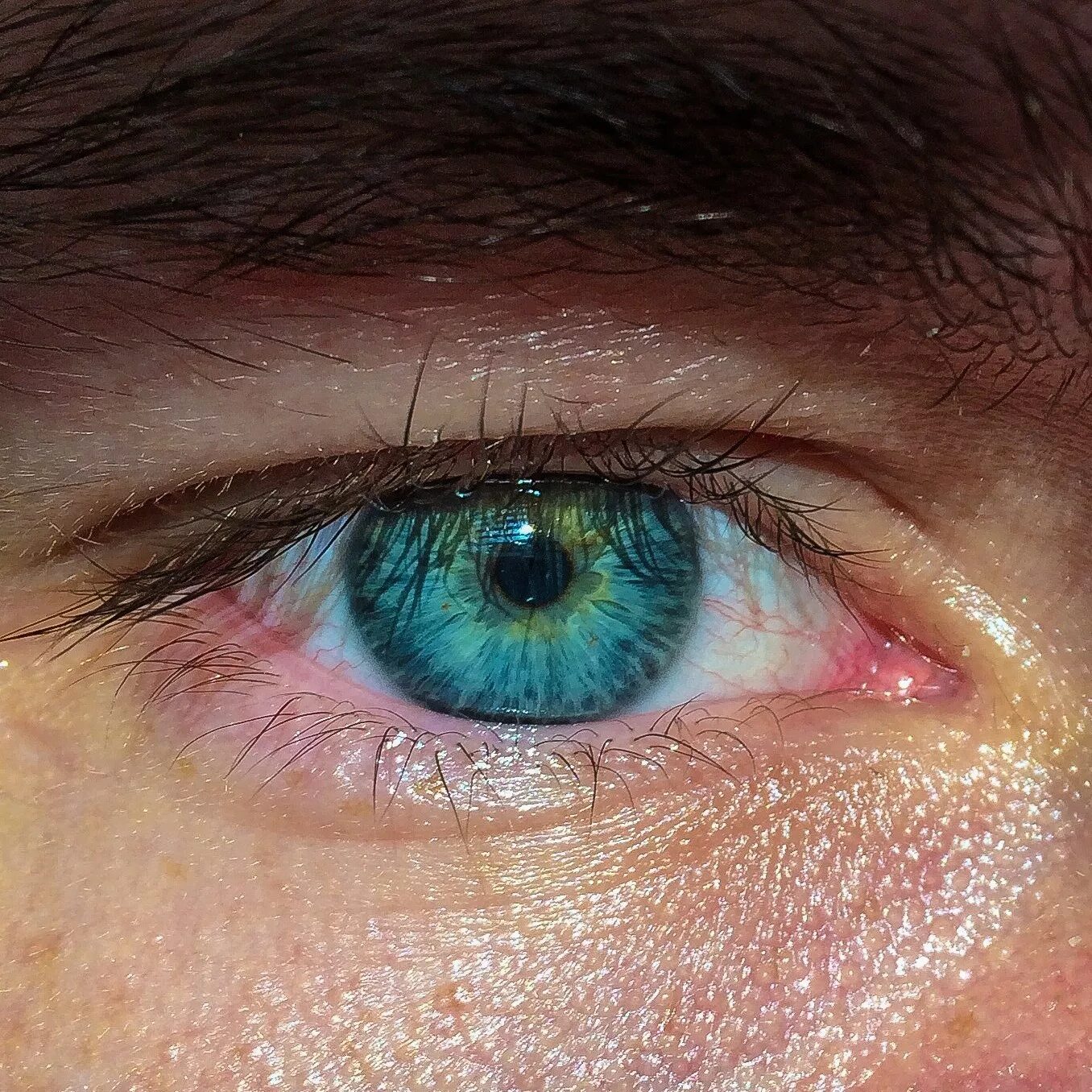 Зелено голубо желтые глаза. Зелёно-голубые глаза. Голубо-зеленый цвет глаз. Голубой цвет глаз. Глаз человека фото.