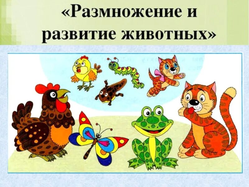Рабочий лист размножение и развитие животных. Размножение и развитие животных. размножение и развитие животных 3 класс. сообщение о размножении и развитии животных. развитие зверей.
