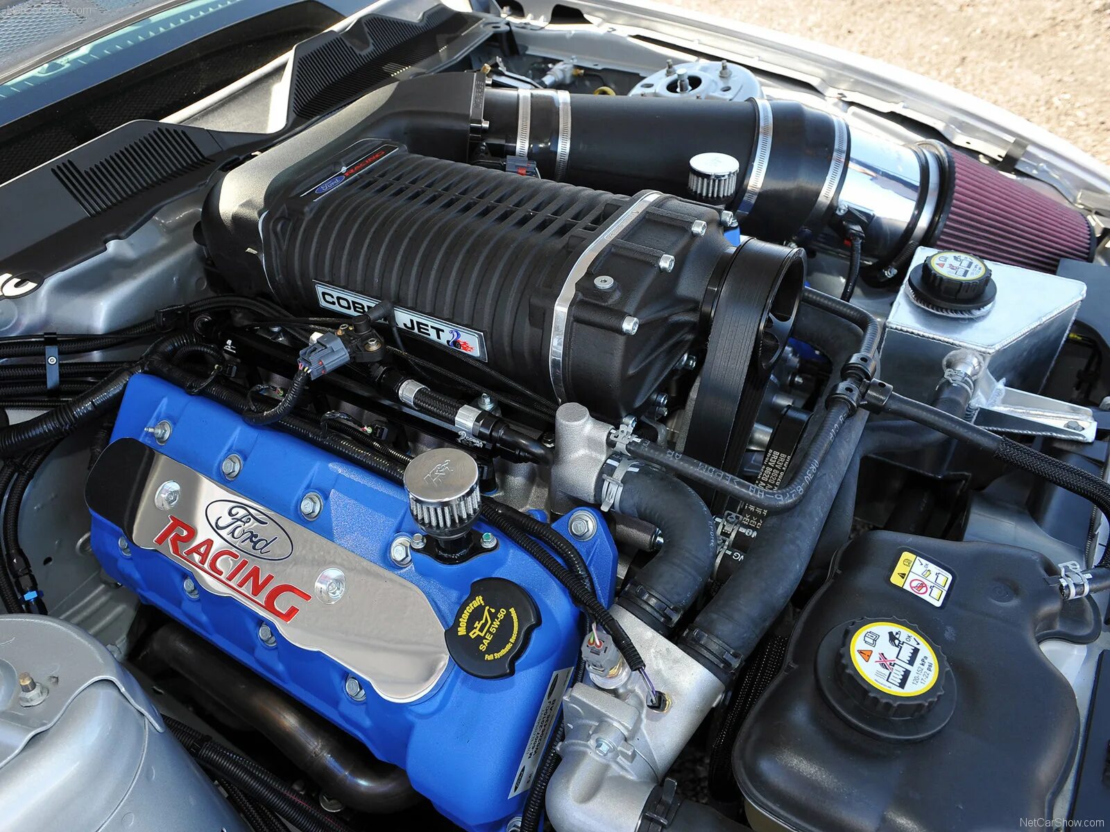 Лучший двигатель 2013. Ford mustang cobra jet 2010. ford mustang cobra jet. двигатель форд мустанг v8. ford mustang cobra jet 2012.