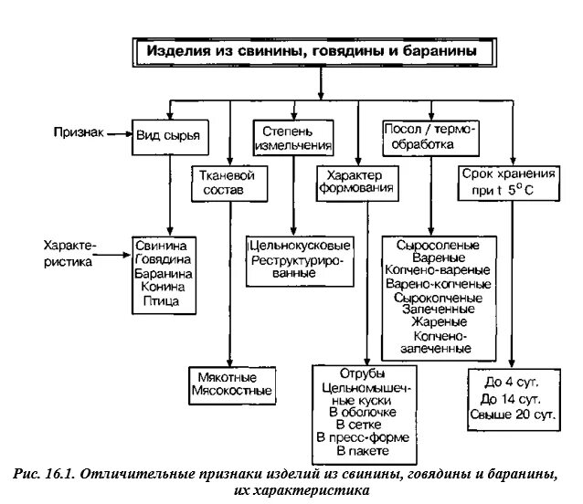 Говядина характеристика сырья. Виды мяса. Говядина характеристика сырья. Характеристика мяса. Химический состав говядины таблица.