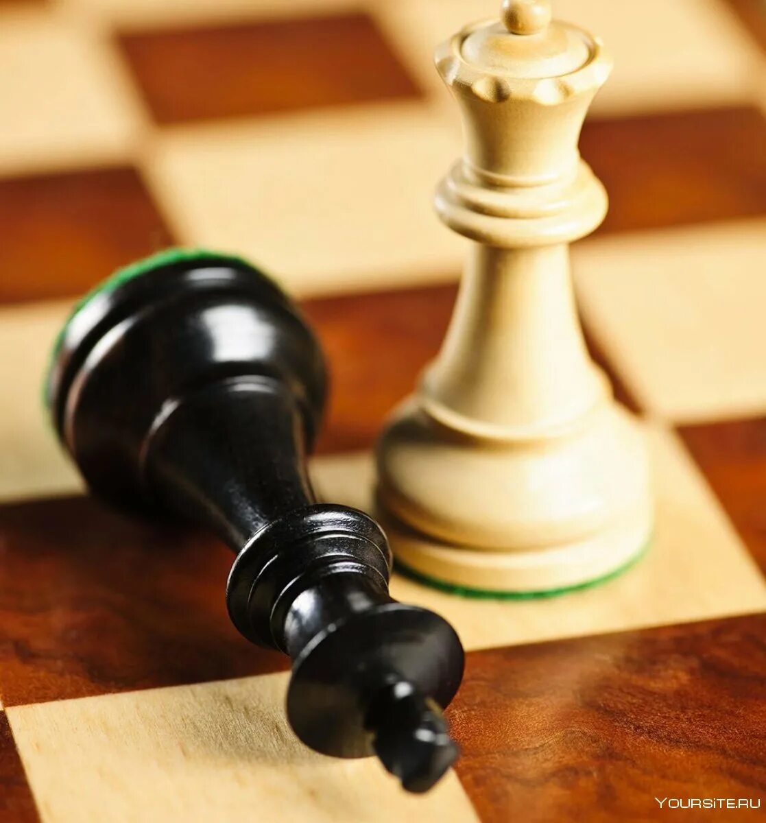 Король и ферзь в шахматах. Шах в шахматах. Шах и мат. Шах королю в шахматах. Мат в шахматах.