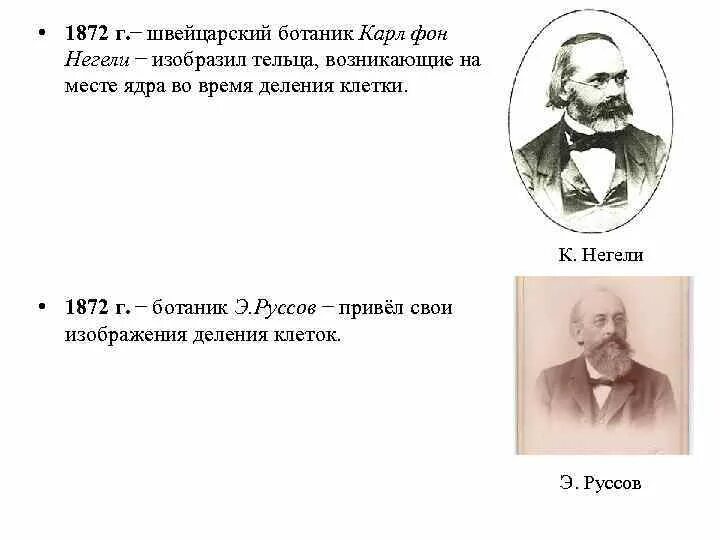 Швейцарский ботаник